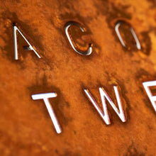 Lade das Bild in den Galerie-Viewer, EARTH 45 CREATOR'S EDITION RUST