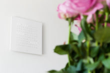 Lade das Bild in den Galerie-Viewer, EARTH 45 WHITE PEPPER